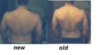 prog back lat.JPG