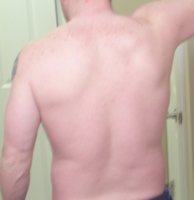 back.jpg