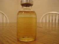DSC01028.jpg