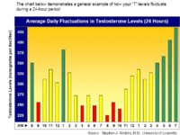 testosterone%2520levels%2520over%252024%2520hour%2520period.jpg