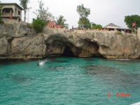 DSC00195.JPG