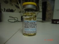 DSC00500.JPG