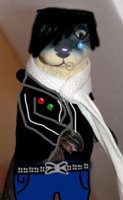 emo_otter.jpg