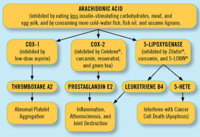 Arachidonic Acid.jpg