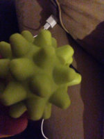 image-3646581089.jpg