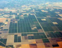 image-1140129646.jpg