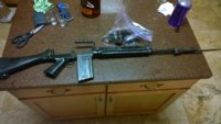 fal.jpg