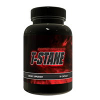 TStane Rendering (150dpi)-500x500.png