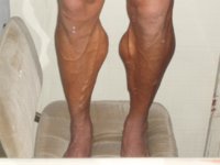 calf2.jpg