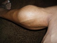 calf.jpg