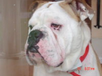 DSC00443.JPG
