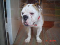 DSC00440.JPG