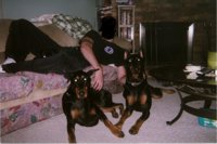 dogs.jpg