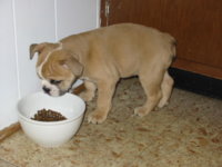104-0425_IMG.JPG