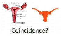 texas.jpg