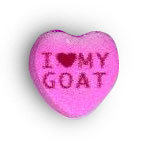goat_heart.jpg