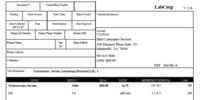 070911_Testosterone_LH_PCT.jpg