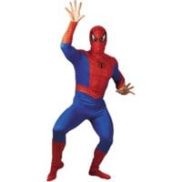 spider.jpg