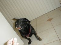 P1010029.JPG
