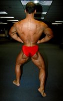 RearLat-3.jpg