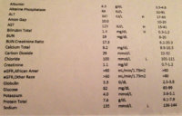 image-2641592121.jpg