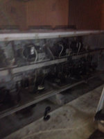 image-2140612792.jpg