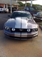 06 Stripes (600x800).jpg