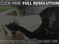 Funny-Best-Sayings-Life-Humorous-Hilarious-Quotes-3355.jpg