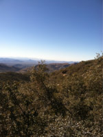 image-3963982972.jpg