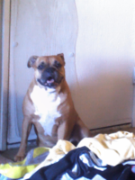 ForumRunner_20150412_104205.png