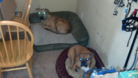 ForumRunner_20150412_104321.png