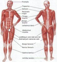 picture.jpg