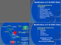216-11 Pathways--------.jpg
