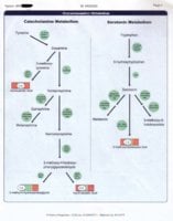 Metabolic-Oct07-4.jpg
