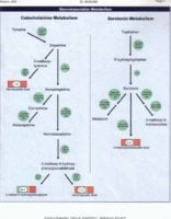 ONEnov28-07page7.jpg