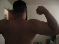 backnew2.jpg