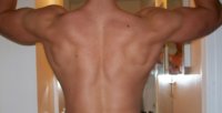 Back3(pc).jpg