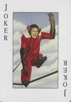 bush_monkey[1].jpg
