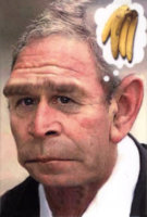 George-W-Bush---Monkey--C11750817.jpg