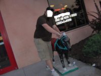 fatmedonkeynh.jpg