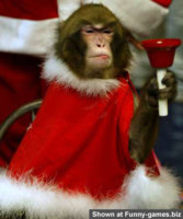 331-angrymonkey.jpg