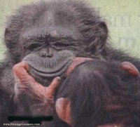 monkey smile 1.jpg