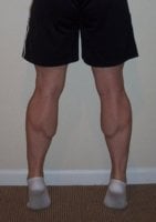 Calves 2.JPG