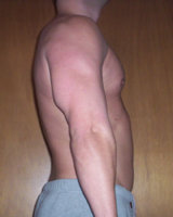 halfway triceps2.jpg