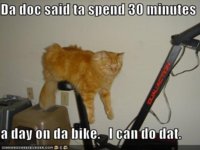 excercise-cat.jpg