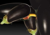 vegetable1.jpg