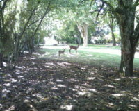 rsz_Photo-0043.jpg