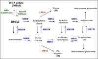 figure2.gif