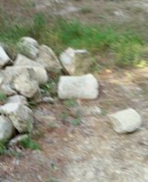 1440519067170.jpg