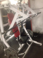 ImageUploadedByAnabolicMinds1444999580.662624.jpg